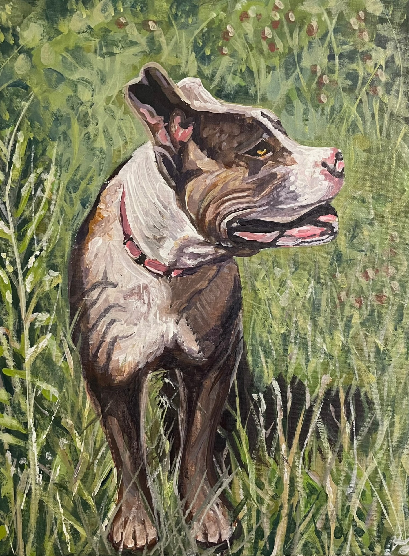 In the Grass